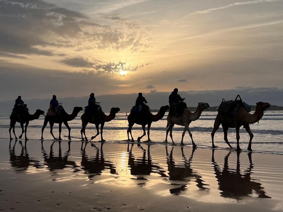Surf Housemaroc Hostel Есувейра Екстериор снимка