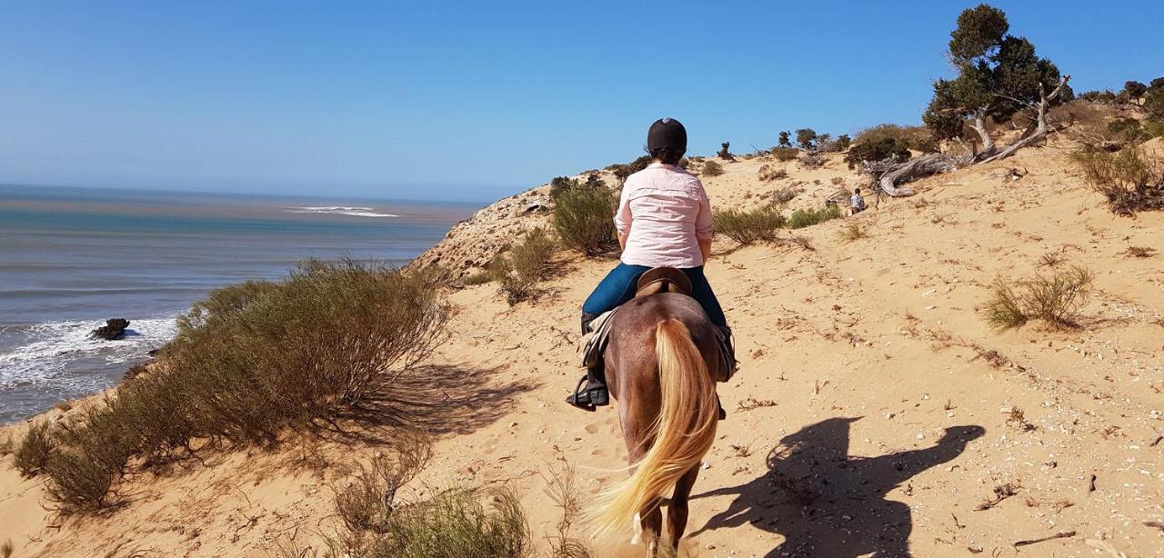 Surf Housemaroc Hostel Есувейра Екстериор снимка