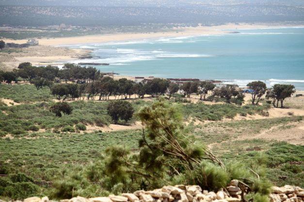 Surf Housemaroc Hostel Есувейра Екстериор снимка